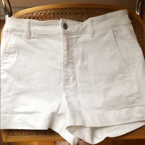 Everlane Cotton Twill Short